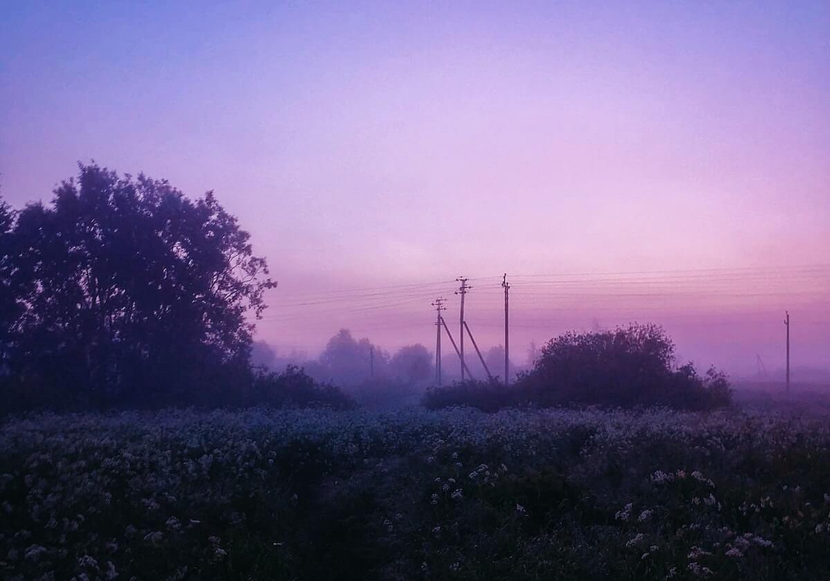 世界杯官方安装包-森林狼出售价格继续攀升 14.5亿报价遭老板拒绝